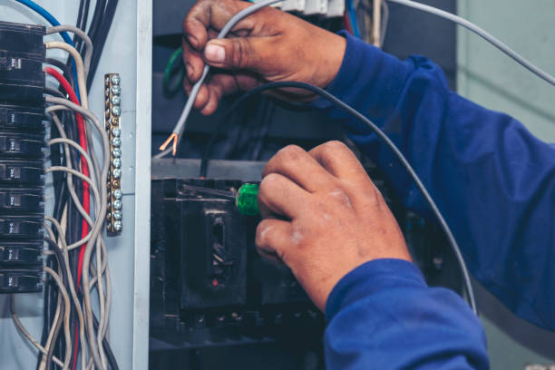 Best Ceiling Fan Installation Electrician  in Cortez, FL