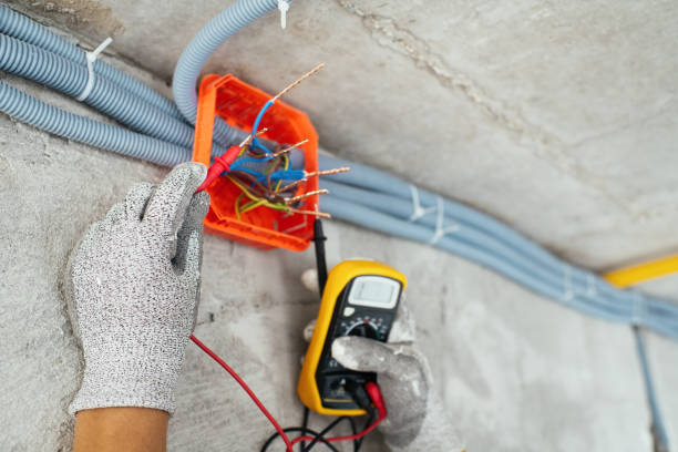 Best Affordable Electrician  in Cortez, FL